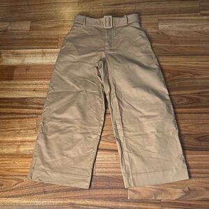 Everlane Tan Ankle Cropped Pants